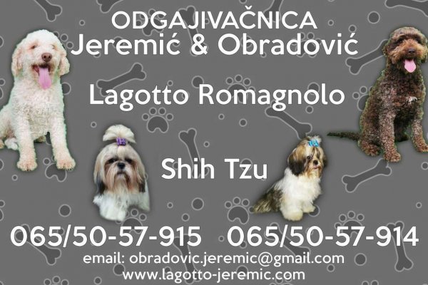 Ссылка на кракен тор kr2web in